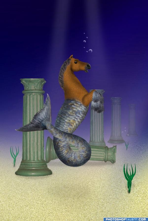 Seahorse